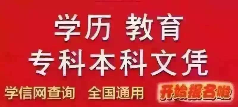 网络教育